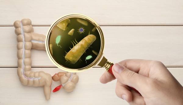 Gut Microbiome